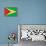 Guyana Flag Design with Wood Patterning - Flags of the World Series-Philippe Hugonnard-Framed Stretched Canvas displayed on a wall
