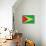 Guyana Flag Design with Wood Patterning - Flags of the World Series-Philippe Hugonnard-Framed Stretched Canvas displayed on a wall