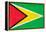 Guyana Flag Design with Wood Patterning - Flags of the World Series-Philippe Hugonnard-Framed Stretched Canvas