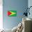 Guyana Flag Design with Wood Patterning - Flags of the World Series-Philippe Hugonnard-Art Print displayed on a wall