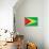 Guyana Flag Design with Wood Patterning - Flags of the World Series-Philippe Hugonnard-Art Print displayed on a wall