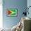 Guyana Flag Design with Wood Patterning - Flags of the World Series-Philippe Hugonnard-Framed Art Print displayed on a wall