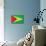 Guyana Flag Design with Wood Patterning - Flags of the World Series-Philippe Hugonnard-Mounted Art Print displayed on a wall