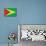 Guyana Flag Design with Wood Patterning - Flags of the World Series-Philippe Hugonnard-Mounted Art Print displayed on a wall