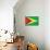 Guyana Flag Design with Wood Patterning - Flags of the World Series-Philippe Hugonnard-Mounted Art Print displayed on a wall