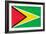 Guyana Flag Design with Wood Patterning - Flags of the World Series-Philippe Hugonnard-Framed Art Print