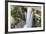 Guyana, Kaieteur Falls. View of Waterfall Flowing into Basin-Alida Latham-Framed Photographic Print