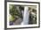 Guyana, Kaieteur Falls. View of Waterfall Flowing into Basin-Alida Latham-Framed Photographic Print