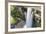 Guyana, Kaieteur Falls. View of Waterfall Flowing into Basin-Alida Latham-Framed Photographic Print