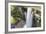 Guyana, Kaieteur Falls. View of Waterfall Flowing into Basin-Alida Latham-Framed Photographic Print