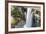 Guyana, Kaieteur Falls. View of Waterfall Flowing into Basin-Alida Latham-Framed Photographic Print