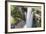 Guyana, Kaieteur Falls. View of Waterfall Flowing into Basin-Alida Latham-Framed Photographic Print