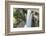 Guyana, Kaieteur Falls. View of Waterfall Flowing into Basin-Alida Latham-Framed Photographic Print