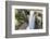 Guyana, Kaieteur Falls. View of Waterfall Flowing into Basin-Alida Latham-Framed Photographic Print