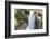 Guyana, Kaieteur Falls. View of Waterfall Flowing into Basin-Alida Latham-Framed Photographic Print