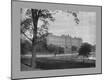 Premium Photographic Print