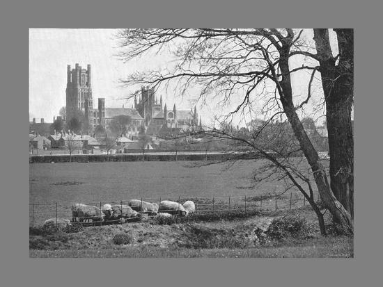 Photographic Print, , large