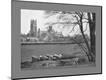 Photographic Print