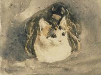 Study of a Cat, 1905-08-Gwen John-Giclee Print