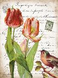 Field Rose-Gwendolyn Babbitt-Art Print
