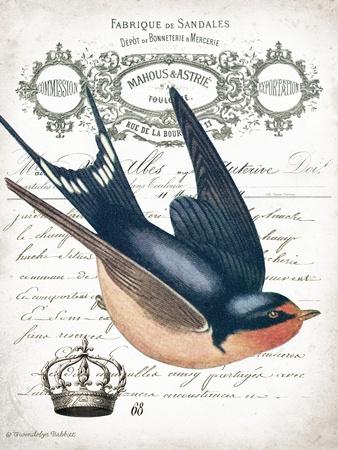 Swallows Vintage Art Wall Art: Prints, Paintings & Posters