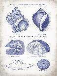 Indigo Shells I-Gwendolyn Babbitt-Art Print
