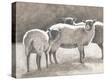 Stretched Canvas Print