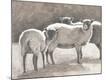 Premium Giclee Print