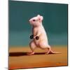 Gym Rat Dumbbell Lunge-Lucia Heffernan-Mounted Art Print