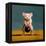 Gym Rat Kettleball Front Squat-Lucia Heffernan-Framed Stretched Canvas