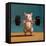 Gym Rat Push Press-Lucia Heffernan-Framed Stretched Canvas