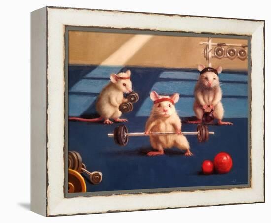 Gym Rats-Lucia Heffernan-Framed Stretched Canvas