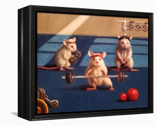 Gym Rats-Lucia Heffernan-Framed Stretched Canvas