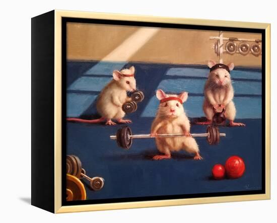 Gym Rats-Lucia Heffernan-Framed Stretched Canvas