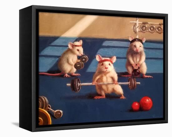 Gym Rats-Lucia Heffernan-Framed Stretched Canvas