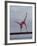 Gymnast Cathy Rigby, Long Beach, California-John Dominis-Framed Premium Photographic Print