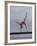 Gymnast Cathy Rigby, Long Beach, California-John Dominis-Framed Premium Photographic Print