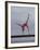 Gymnast Cathy Rigby, Long Beach, California-John Dominis-Framed Premium Photographic Print