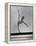 Gymnast Cathy Rigby, Training on Balancing Beam-John Dominis-Framed Premier Image Canvas