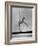 Gymnast Cathy Rigby, Training on Balancing Beam-John Dominis-Framed Premium Photographic Print