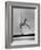 Gymnast Cathy Rigby, Training on Balancing Beam-John Dominis-Framed Premium Photographic Print