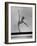 Gymnast Cathy Rigby, Training on Balancing Beam-John Dominis-Framed Premium Photographic Print