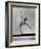 Gymnast Cathy Rigby, Training on Balancing Beam-John Dominis-Framed Premium Photographic Print