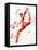 Gymnast Two, 2010-Penny Warden-Framed Premier Image Canvas