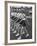 Gymnasts Marching in the Posture Parade-Peter Stackpole-Framed Photographic Print