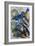 Gyotaku Fish Painting, Oils, 2020-jocasta shakespeare-Framed Giclee Print