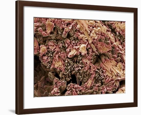 Gypsum Crystals, SEM-Steve Gschmeissner-Framed Photographic Print