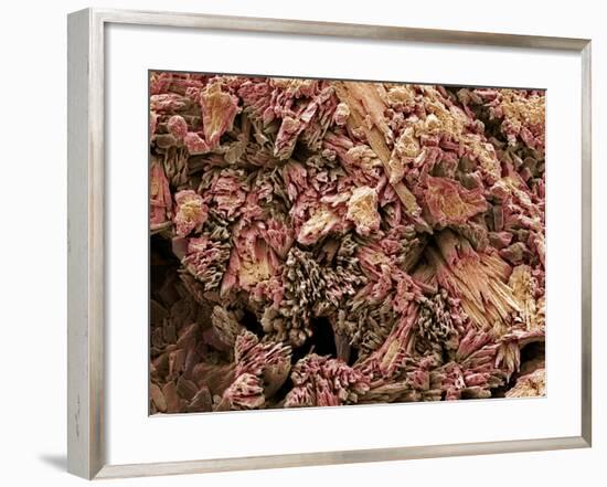 Gypsum Crystals, SEM-Steve Gschmeissner-Framed Photographic Print