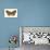 Gypsy Moth (Porthetria Dispar), Insects-Encyclopaedia Britannica-Art Print displayed on a wall