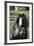 Gypsy Vanner 006-Bob Langrish-Framed Photographic Print